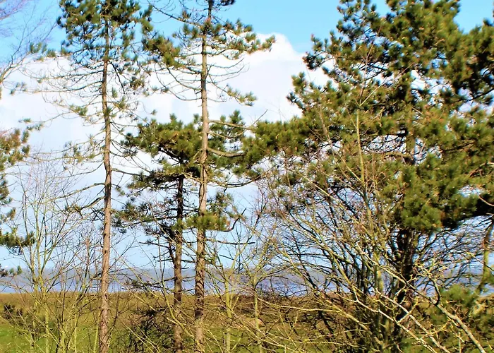 H&p Touristik - Residenz Hohe Lith 12 Куксхафен